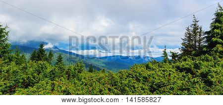 Bright picturesque Carpathian mountains landscape. Chornogora ridge Ukraine Europe
