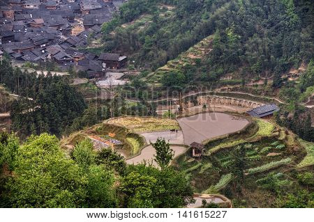 Jilun Dong Village Guizhou Province China - April 9 2010: Rice paddy at the top of the hill near the village of Dong ethnic minority cloudy spring day.