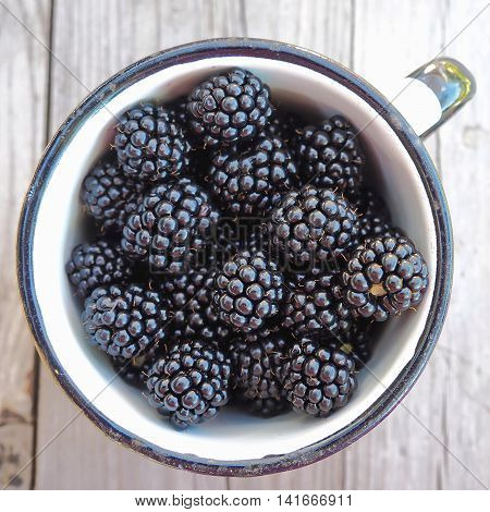 Old Metal Cup Full of Fresh Sweet Blackberries