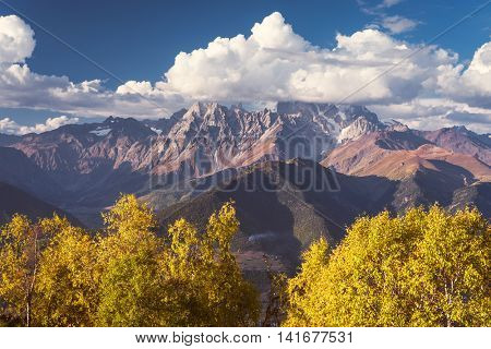 Autumn landscape. Top Ushba in clouds. Birch forest on the hillside. View from Mount Mkheer. Main Caucasian ridge. Zemo Svaneti, Georgia. Art processing of photos. Color toning