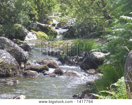 Babbaling Brook