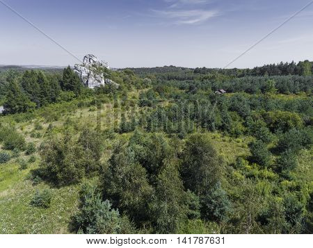 Limestone Rock In Jura Krakowsko-czestochowska. Poland. View From Above.