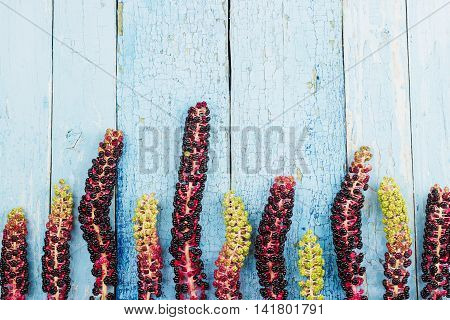 Violet Lakonos American On The Wooden Board