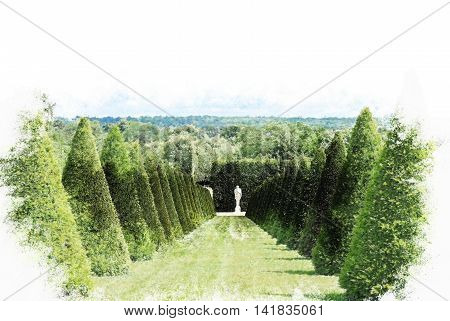 conical hedges lines and lawn, Versailles Chateau, France. Vintage painting, background illustration, beautiful picture, travel texture
