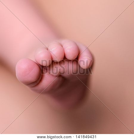 Tiny Foot Of Newborn Baby