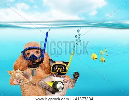 Dog with a cat divers underwater. Humor.