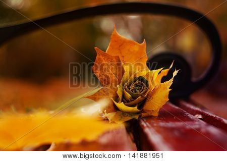 nice bouquet of autumn leaves on a bench in a park