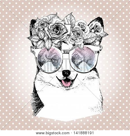 Vecotr portrait of dog wearing the floral wreath and sunglasses. Hand drawn vintage trendy illustration. Wesh corgi pembroke breed. Isolated on polka dot and rose gold background.