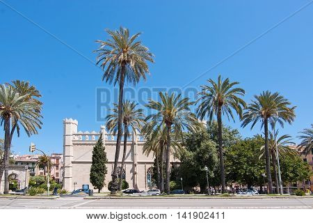 La Llotja Building And Palm Trees