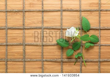 Square lined rope pattern on a wooden background and white rose with leaves interwoven between it. Texture for nature themes