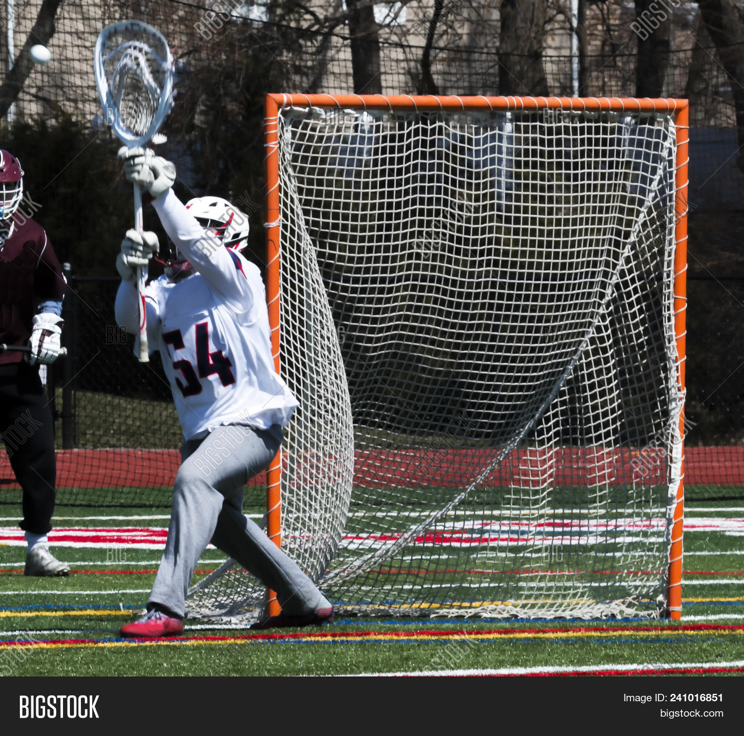 Lacrosse Goalie Image & Photo (Free Trial) Bigstock