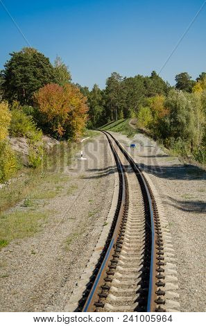 Railway In The Beautiful Forest Of Pines And Penetrating Rays Of The Sun In The Summer