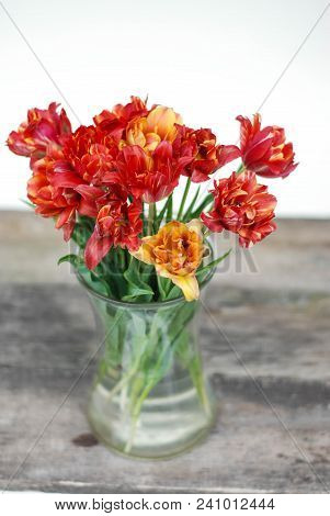 Spring Flowers. Bouquet Of Red Tulips In Glass Vase On Brown Wooden Background. Mother's Day And Val