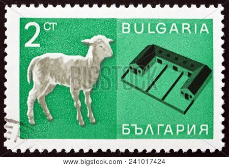 Bulgaria - Circa 1967: A Stamp Printed In Bulgaria Shows Lamb And Sheep Farm, Circa 1967