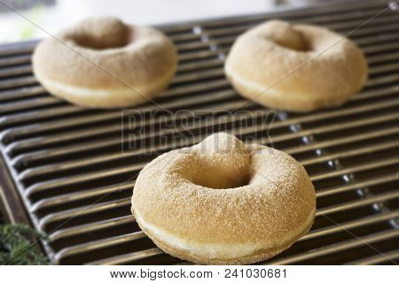 Fresh Baked Donut On Shelf, Stock Photo