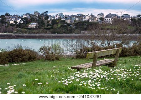 Bench With A Beautiful View