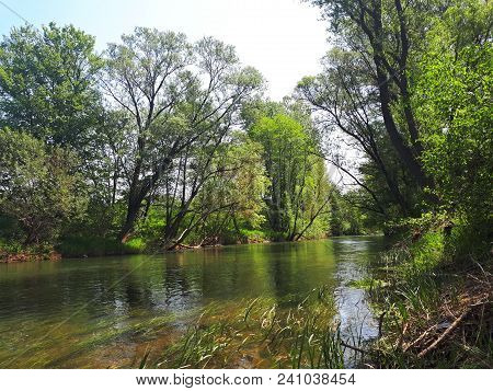 The Timok River In East Serbia On A Spring Time.
