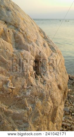 Relaxing And Enjoying A View Of The Sea Stone With An Ornament On It Resembling Fossil With The Sea 