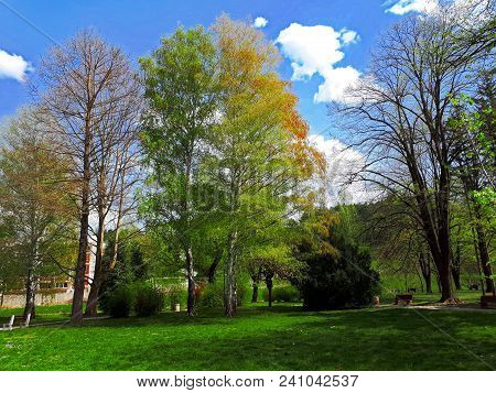 Beautiful Park In Sokobanja, Spa Town In East Serbia