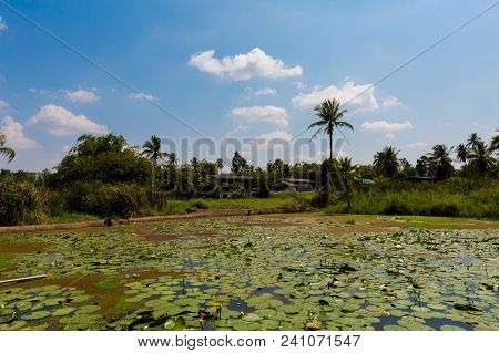 Lake On Koh Kret Island On Menam River In Bangkok. Travelling Across South East Asia.