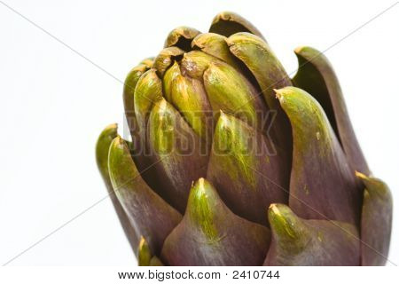 Carciofo