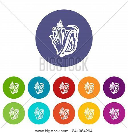 Rapan Icon. Simple Illustration Of Rapan Vector Icon For Web