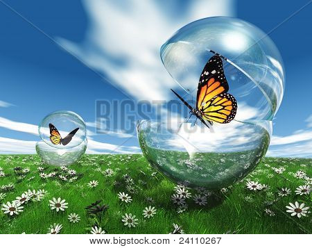 le papillon