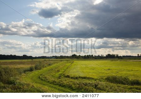 部分的に放棄された牧草地