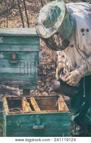 A Beekeeper In A Mask Transplantes A Family Of Bees In The Spring To Another Beehive