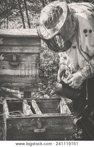 A Beekeeper In A Mask Transplantes A Family Of Bees In The Spring To Another Beehive
