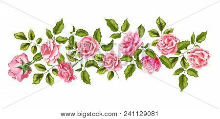 Rose Flower Blossom Blooming With Leaves Pattern. Vector Textie Vintage Watercolor Wallpaper Templat
