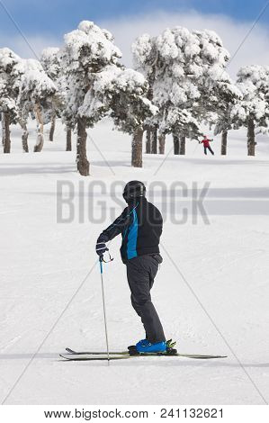 Skiers On Snowy Forest Slope. White Mountain Landscape. Winter Sport