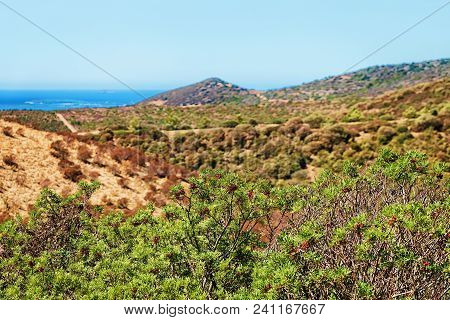 Landscape And The Mediterranean Sea At Teulada, Cagliari Province, On Sardinia Island, Italy