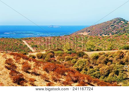 Landscape And The Mediterranean Sea In Teulada, Cagliari Province, Sardinia Island, Italy