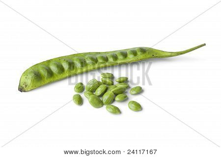 Friske Petai bønner