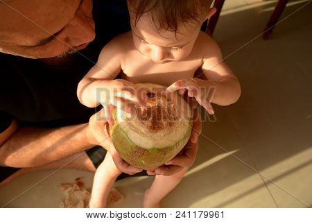 Father And Baby Have Prepared A Coconut For Drinking. They Are Going To Drink A Coconut Milk Direct 