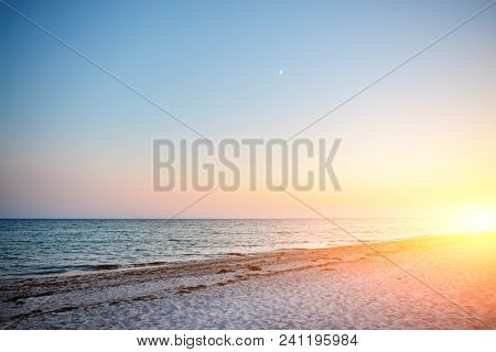 A Wild Beach And A Pigeon Sea Water On A Lovely Sunny Day