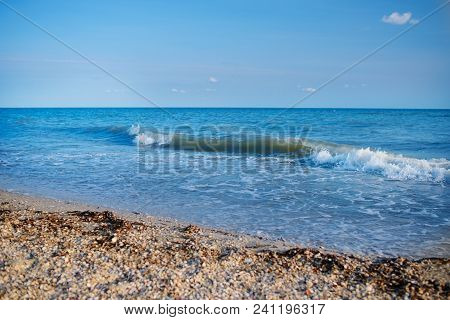 A Wild Beach And A Pigeon Sea Water On A Lovely Sunny Day