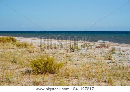 A Wild Beach And A Pigeon Sea Water On A Lovely Sunny Day