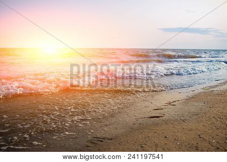 A Wild Beach And A Pigeon Sea Water On A Lovely Sunny Day