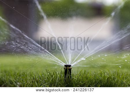 Automatic Sprinkler System Watering The Lawn On A Background Of Green Grass, Close-up