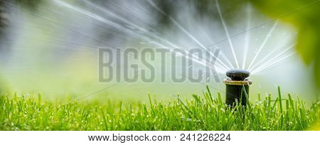 Automatic Sprinkler System Watering The Lawn On A Background Of Green Grass, Close-up