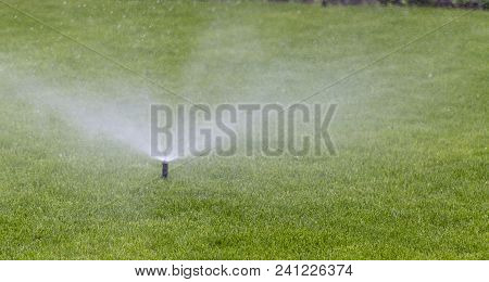 Automatic Sprinkler System Watering The Lawn On A Background Of Green Grass, Close-up