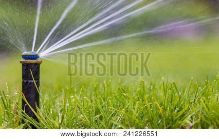 Automatic Sprinkler System Watering The Lawn On A Background Of Green Grass, Close-up
