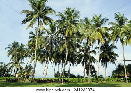 Sri-lanka, Bentota - 14 April 2018: Territory Of The Hotel Avani Bentona Resort & Spa