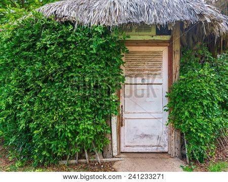 Wooden Hut With Closed Wooden White Grunge Door Surrounded By Dense Green Plants At Montaza Public P