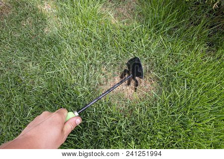Gardener Repairing Lawn Grass, After Crippling Domashnim Pets Close Up