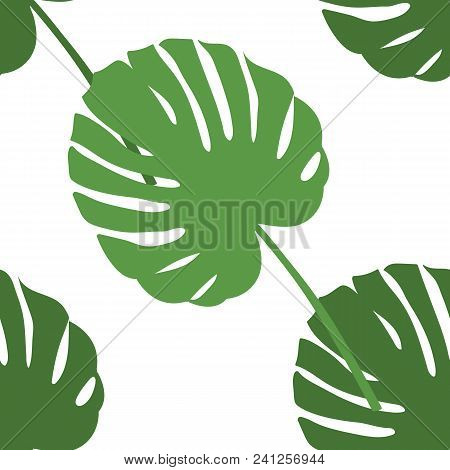 Vector Illustration Of Palm Leaf Seamless Pattern. Decor Element