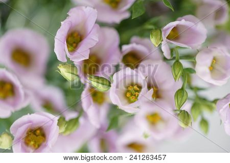 Bunch Of Lilac Eustoma Flowers In Glass Vase. Love Vintage Background With Flowers
