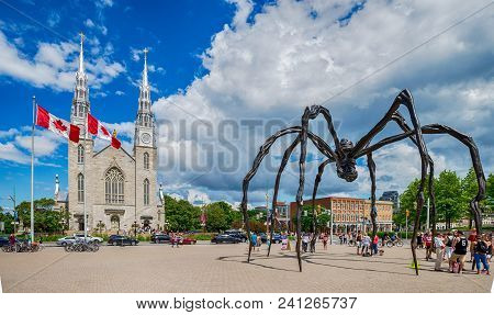 Ottawa, Ontario - July 08, 2017: Notre Dame Cathedral And Maman Spider Scuplture In Ottawa, Canada